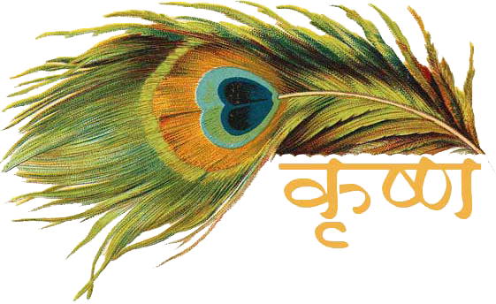 #peacock #krishna R Inseparable In #indian #traditions - Krishna Name In Hindi (561x344), Png Download
