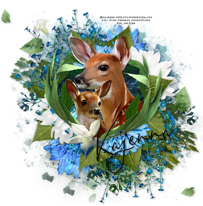 Oh Baby Deer Tag - Roe Deer (700x700), Png Download