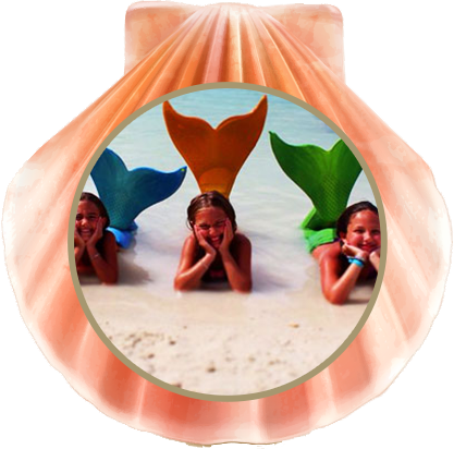 Mermaid Tails - The2tails Skin Replacements Fits The Fin Fun Jr. Monofin (417x412), Png Download