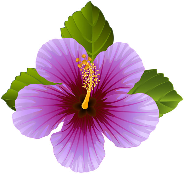 Watercolor Floral Wreath Clipart, Floral Clip Art, - Purple Flowers Clipart (600x568), Png Download