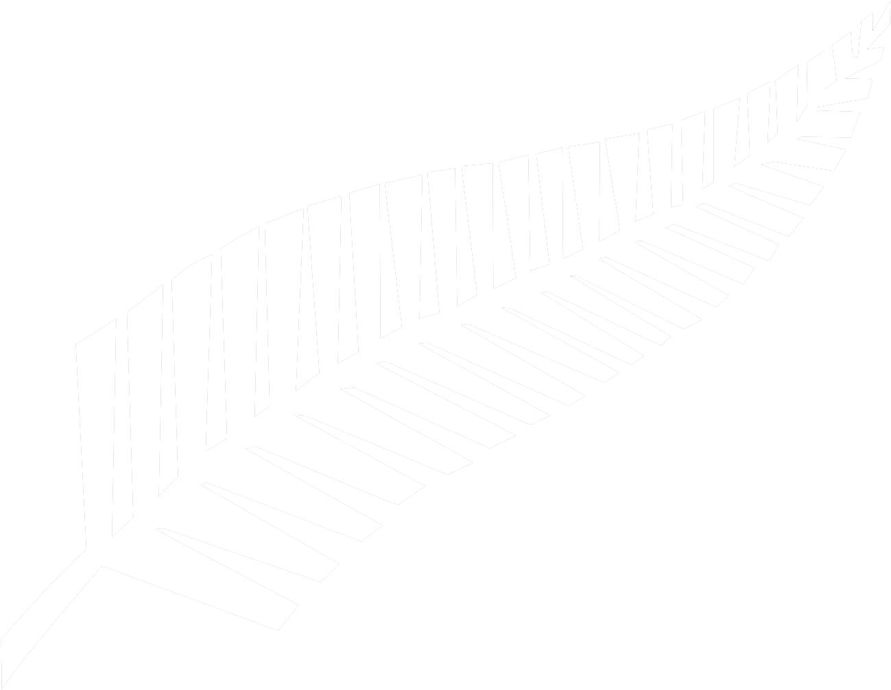 Silver Fern Flag - Silver Fern Logo Png (1306x1017), Png Download