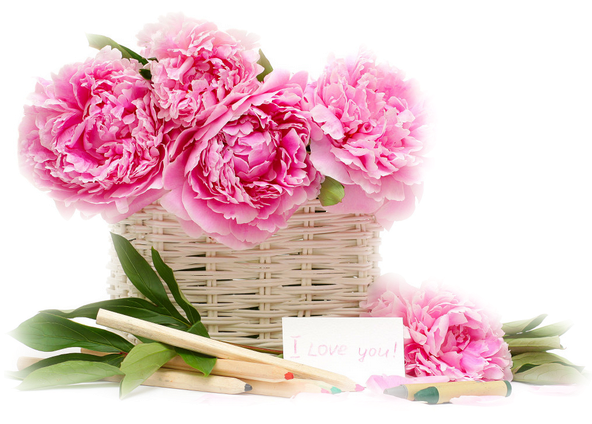 Gifs De Flores Com Fundos Transparentes, Flores Png, - Beautiful Pink Flower Basket (600x450), Png Download
