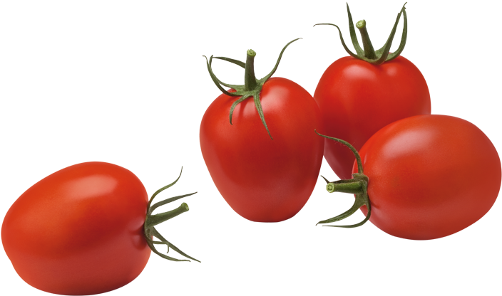 Plum Tomatoes - Plum Tomatoes Png (800x560), Png Download