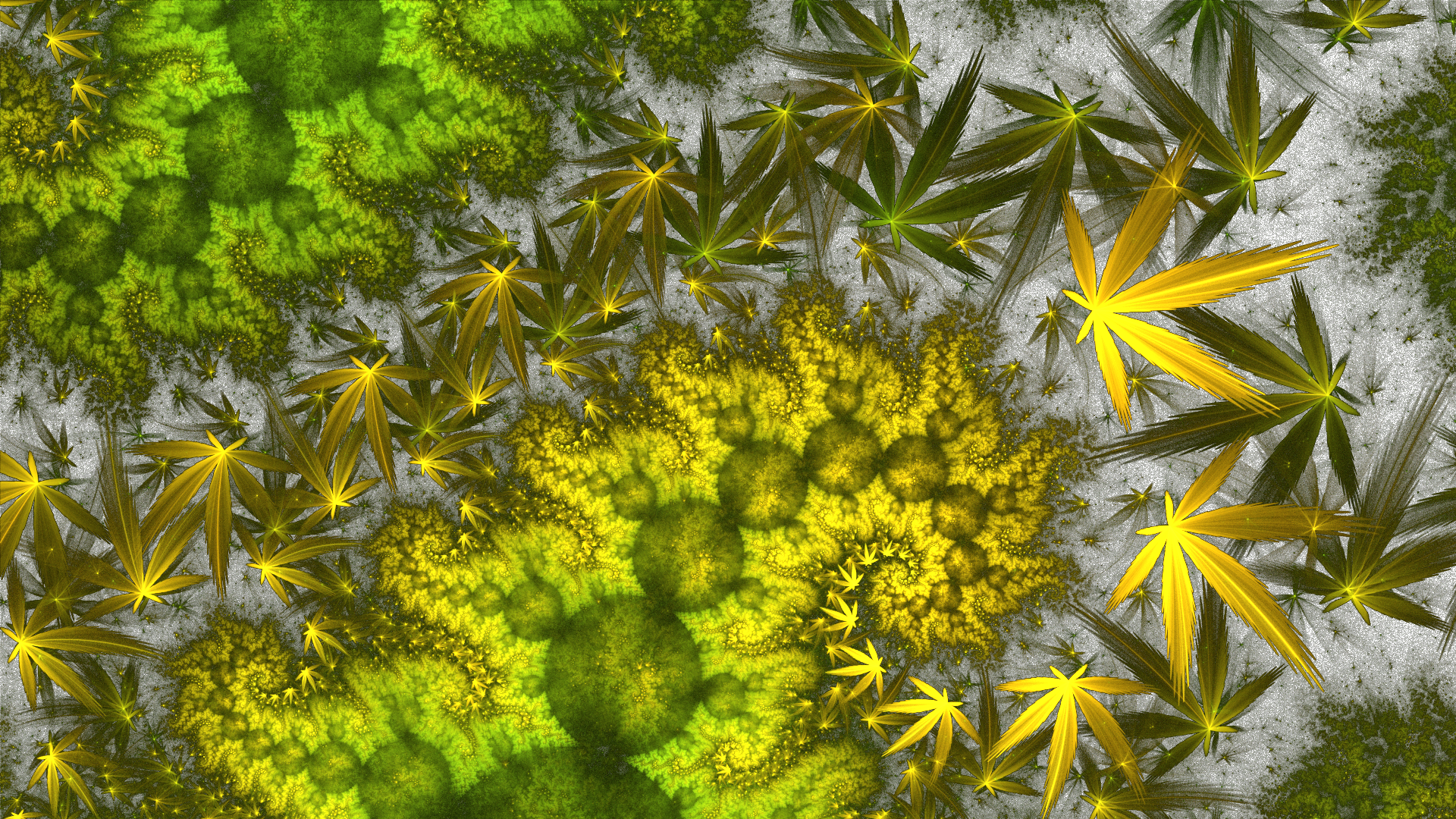 Why Do Marijuana Leaves Turn Yellow - Bud Leaves Turning Yellow (1280x720), Png Download