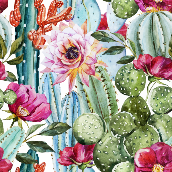 Cactus / Flower - High Resolution Watercolor Cactus (600x600), Png Download