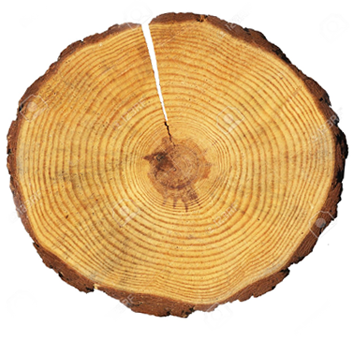 Export Solutions - Wooden Circle (351x349), Png Download