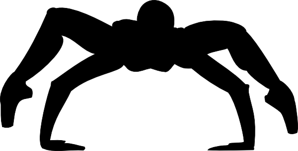 Die Schwarze Spinne (600x305), Png Download