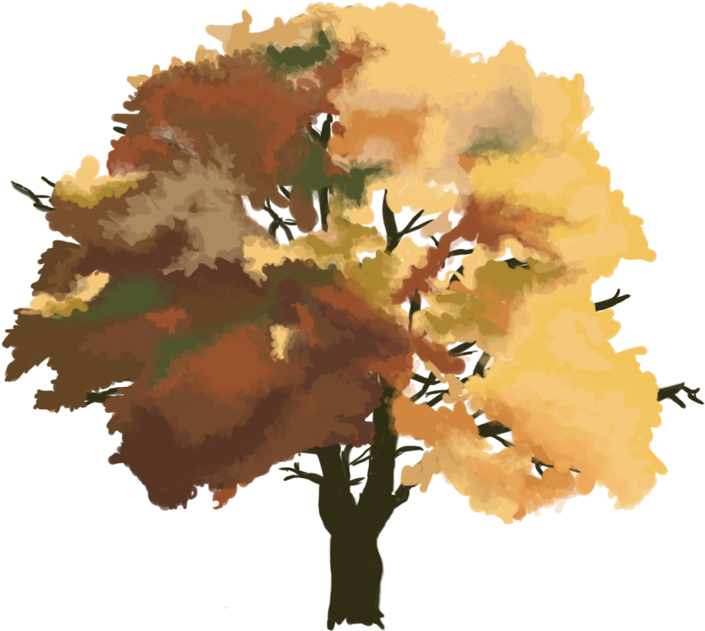 Swamp Maple (1200x1200), Png Download