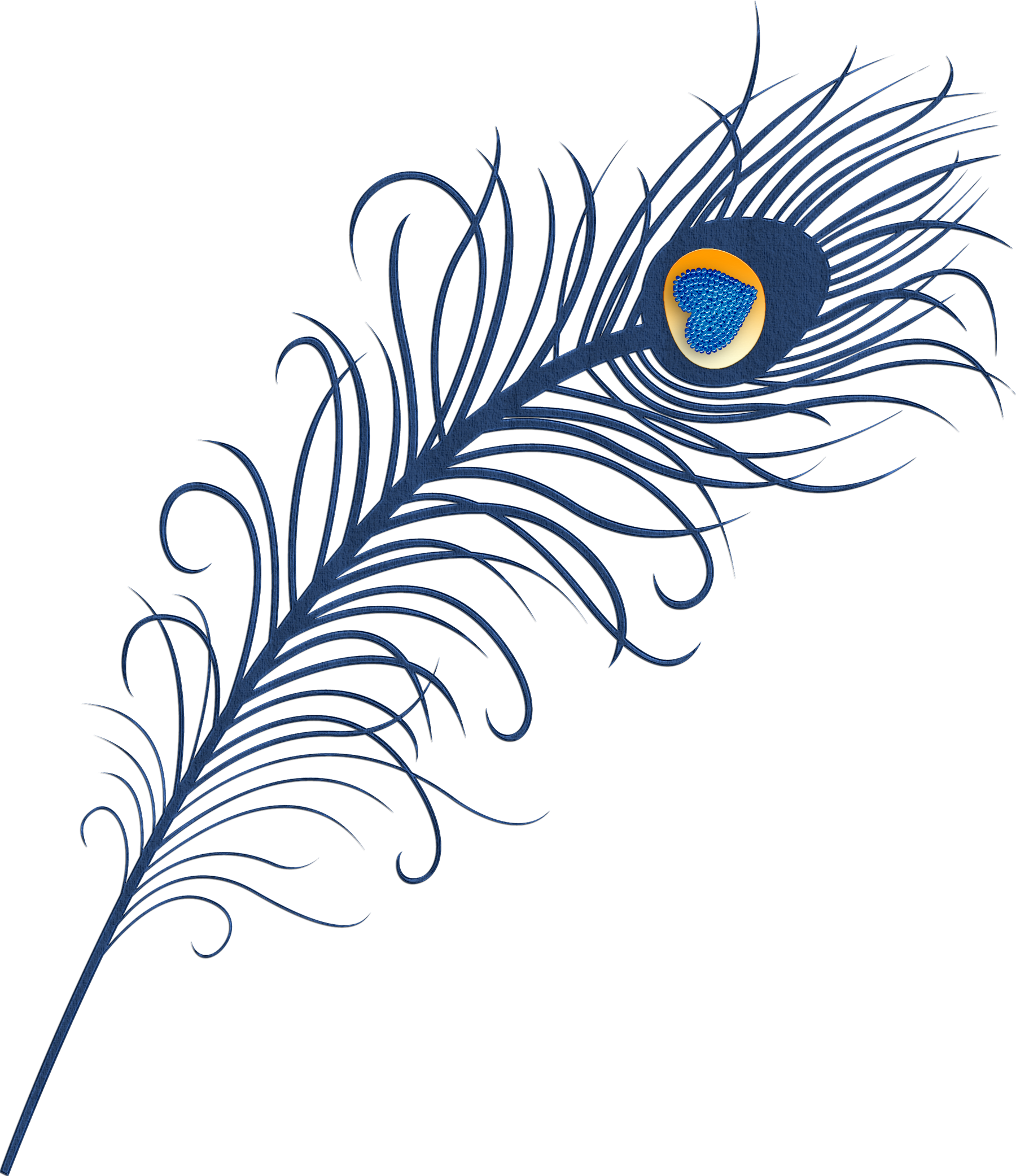 Png Free Library Feather Peafowl Bird Clip Art Love (1800x2083), Png Download