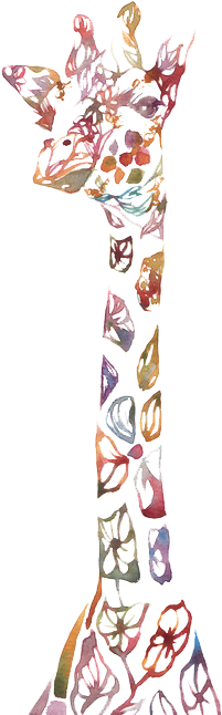 So Cool - Fondos De Pantalla De Jirafas (500x735), Png Download