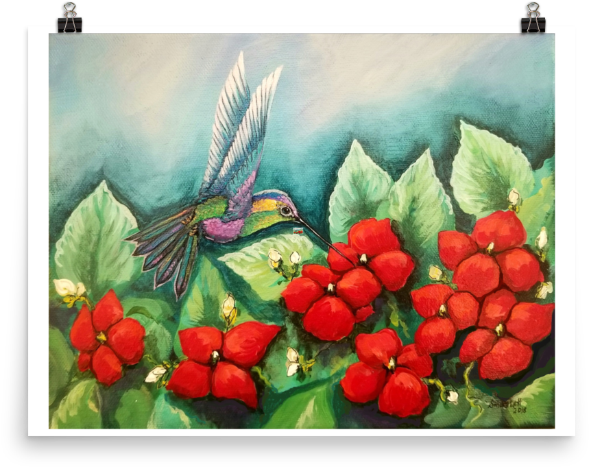 Humming Impatiens, Print On Premium Luster Photo Paper - Art (1000x1000), Png Download