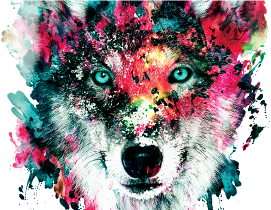 Watercolor Wolf Watercolor Wolf - Wolf T Shirt Design (571x432), Png Download