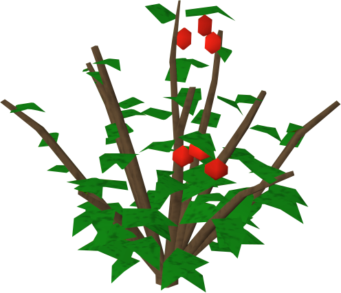 Redberry Bush Runescape Wiki Fandom Powered By - Berry Bush Transparent Background (496x426), Png Download