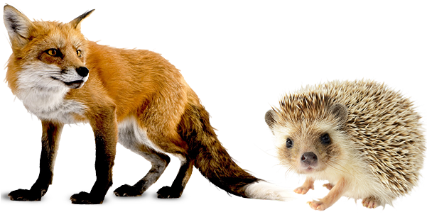 Published February 16, 2017 At 600 × 430 In - Hedgehog And Fox (600x430), Png Download