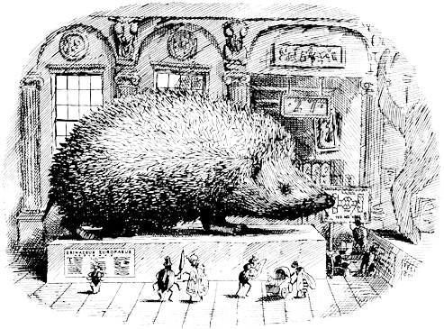 How Well Do You Know Your Hedgehog - Hedgehog (500x374), Png Download