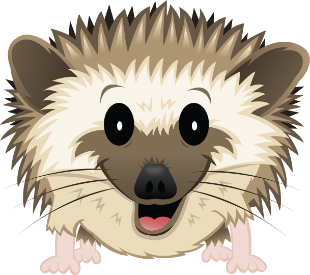 Hedgehog - Cartoon African Pygmy Hedgehog (609x540), Png Download
