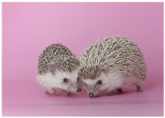 Sticker (400x400), Png Download