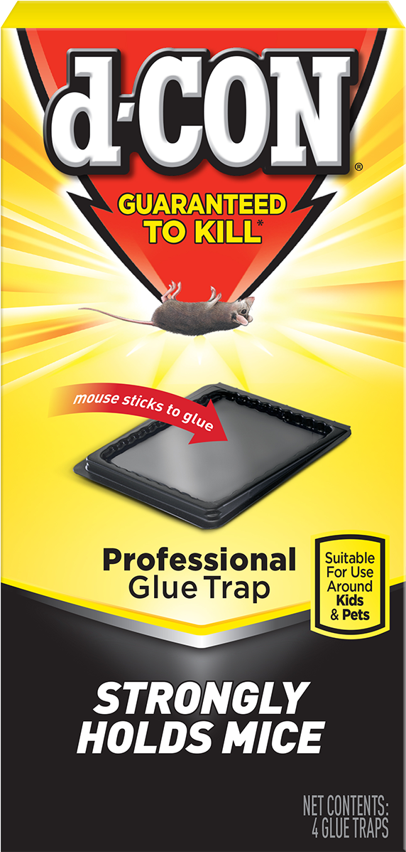 D-con® Glue Traps - D-con Glue Mouse Traps, 4 Traps (1280x1280), Png Download
