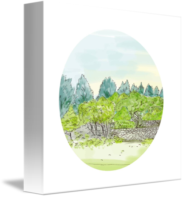 Trees In Park With Cornwall Oval Watercolor By Aloysius - Watercolor Painting (606x650), Png Download