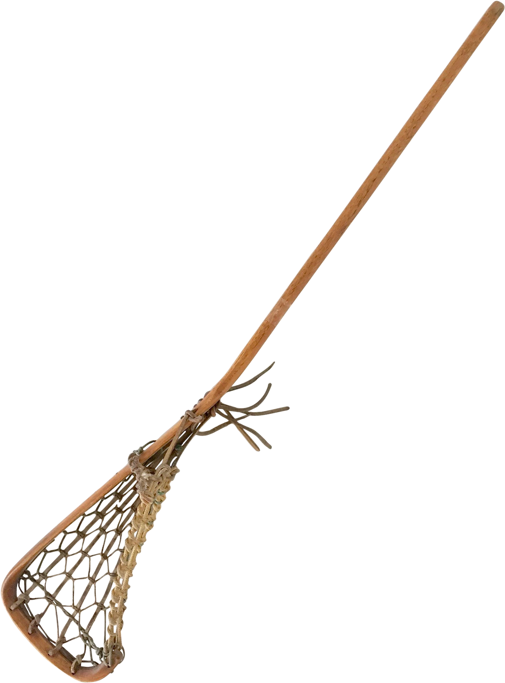 Lacrosse Stick Png - Net-winged Insects (1931x2610), Png Download