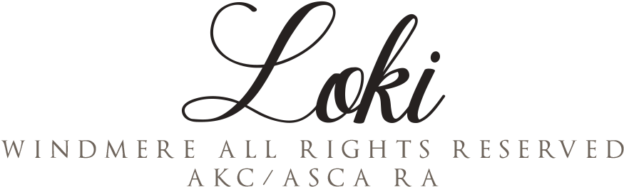 "loki" Windmere All Rights Reserved, Is My Daughter - Calligraphy (1200x400), Png Download