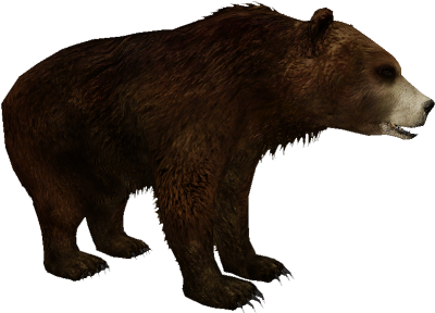 Cave Bear - Kodiak Bear Zt2 (399x399), Png Download