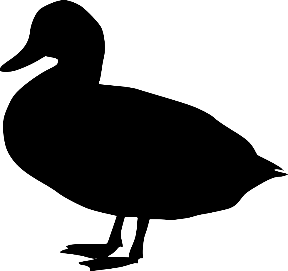 Duck Comments - Duck Svg (980x924), Png Download