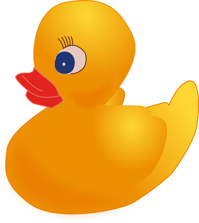 Banner Library Stock Png - Rubber Duck Transparent (643x720), Png Download
