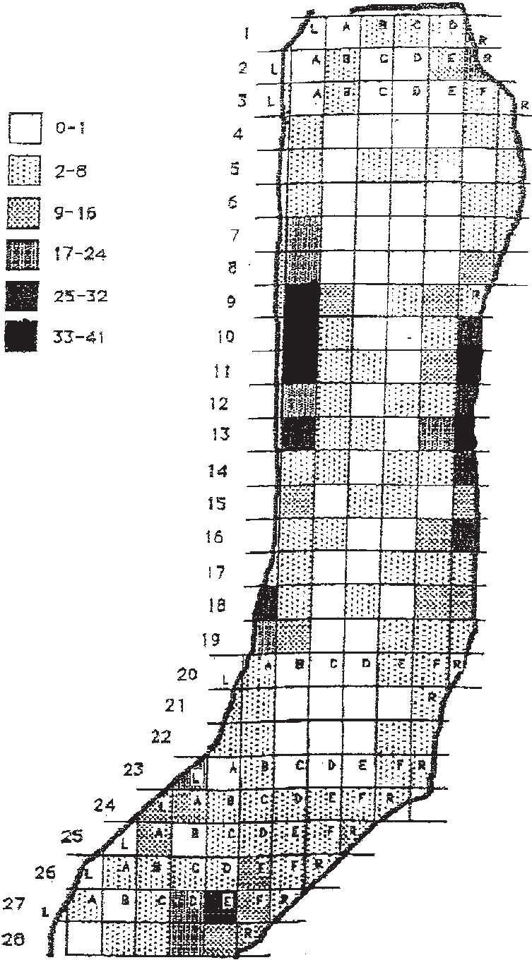Cave Cricket Distribution Summed Over All Census Counts - Floyd Collins (753x1360), Png Download