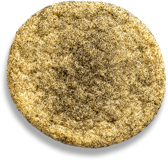 Vanilla Bean - Vanilla (600x600), Png Download