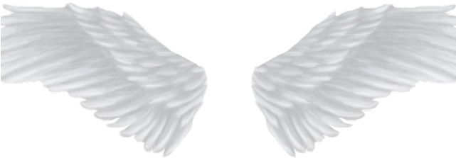 Angel Wings Png - Portable Network Graphics (640x480), Png Download