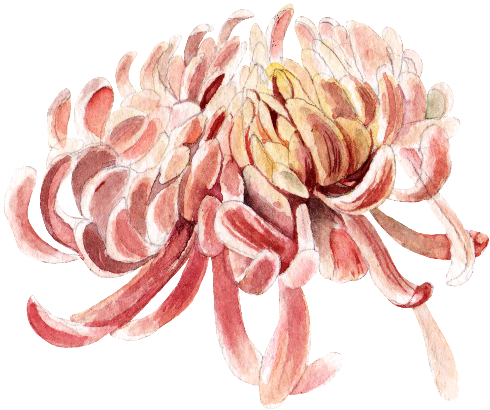 Watercolor Painting (1024x862), Png Download