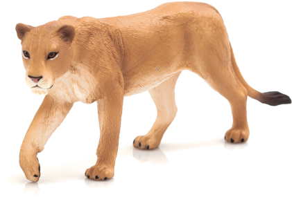 Lioness - Mojo Lioness (540x360), Png Download