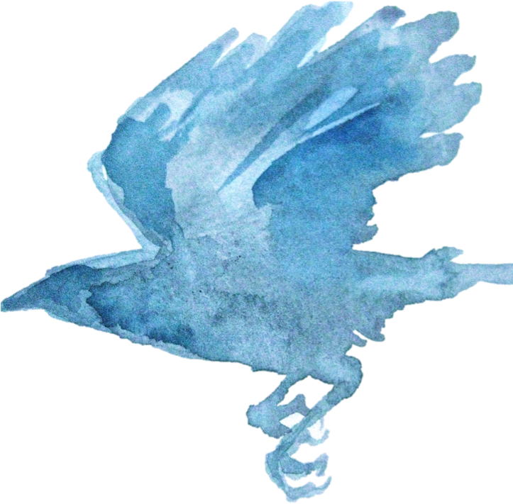 Melanie Mascarenhas - Blue-footed Booby (722x722), Png Download