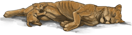 Lionessday " - Jpeg (640x385), Png Download