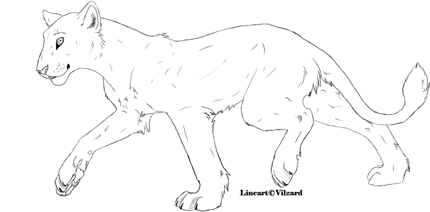Lioness Lineart By Vilzard-d40phkt - Lioness Lineart (894x571), Png Download