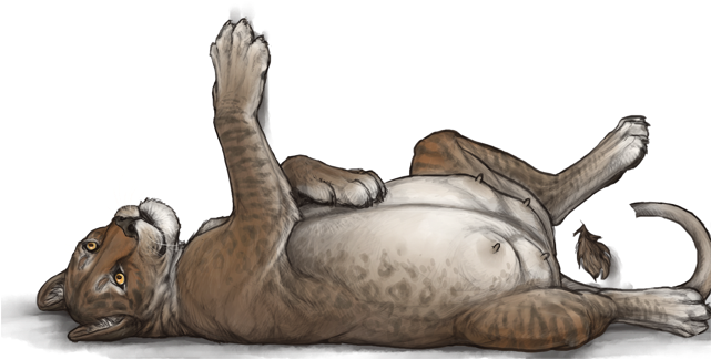 Go To Image - Lioden Pregnant (640x500), Png Download