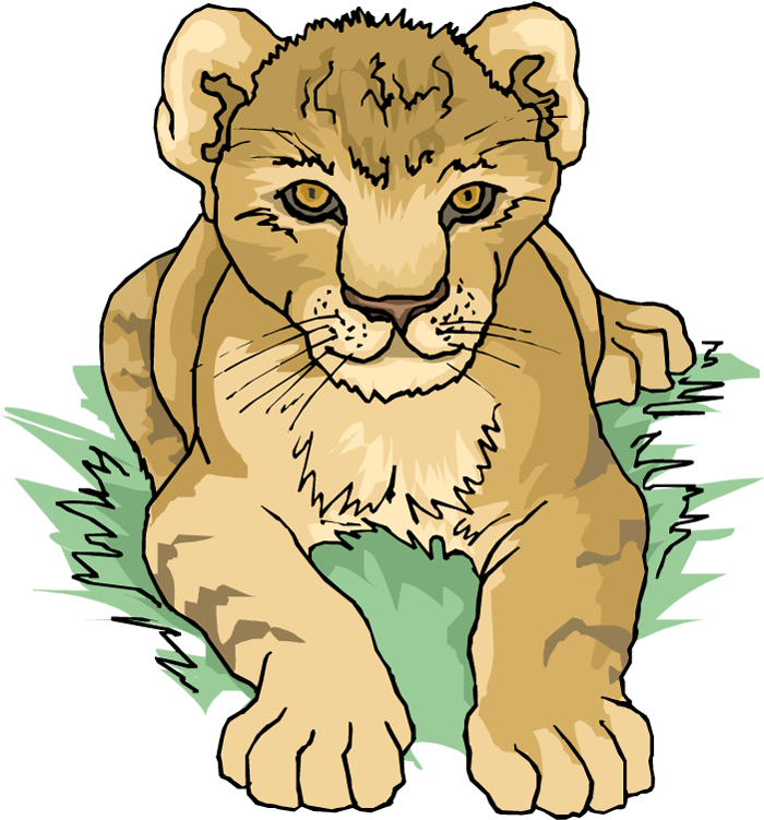 Lion Clipart Lion Cub - Free Clipart Lion Cub (748x750), Png Download