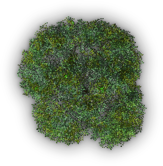 782k Tree Jrl4b 06 Feb 2009 - Insect Repellent (684x693), Png Download