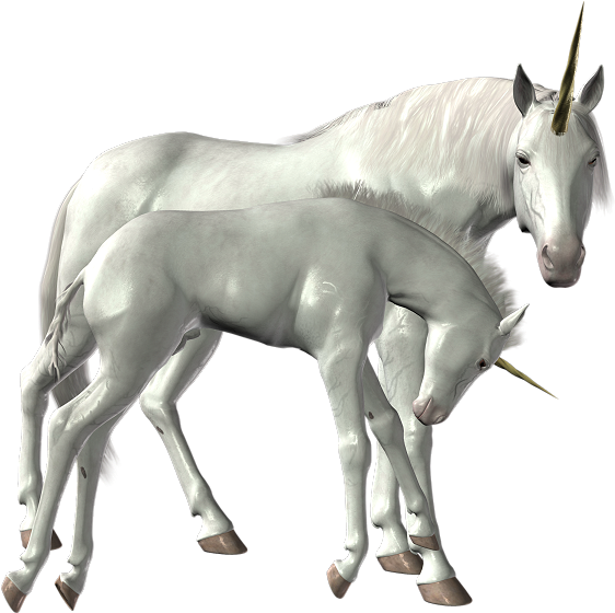 Unicorn Png Image Library - Unicorn Png Deviantart (600x600), Png Download
