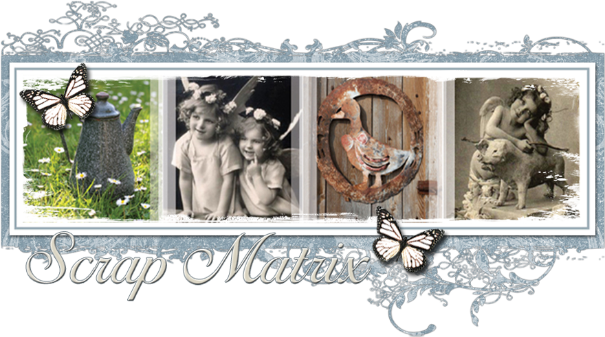 Butterfly Gardening (880x500), Png Download