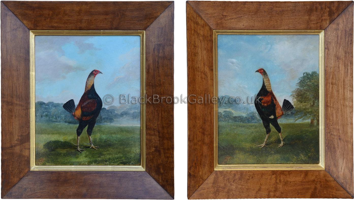The Fighting Cock (1500x997), Png Download