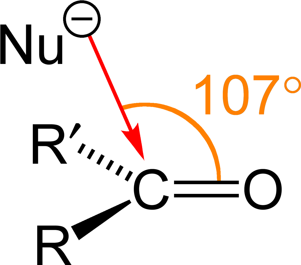 Burgi Dunitz Angle 2d - Protopine Bürgi Dunitz (1100x978), Png Download