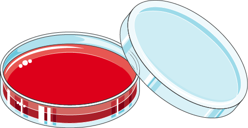 Download The Image - Circle (509x262), Png Download