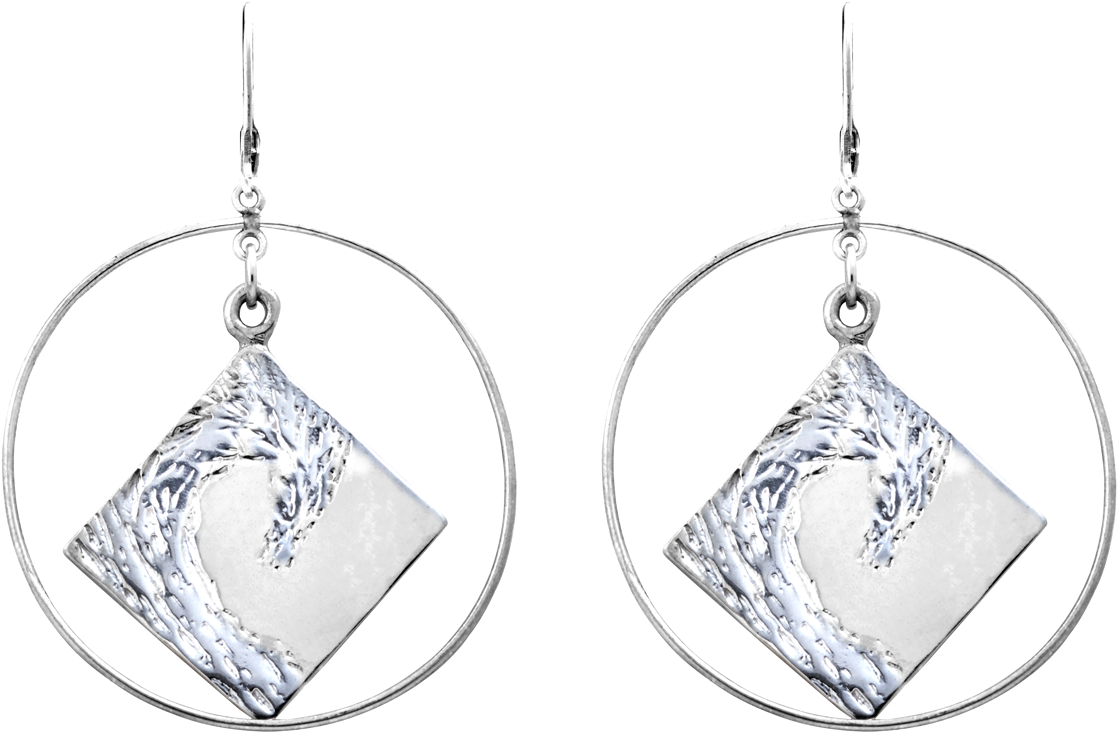 Diamond In Circles Earrings - Earring (1200x1200), Png Download