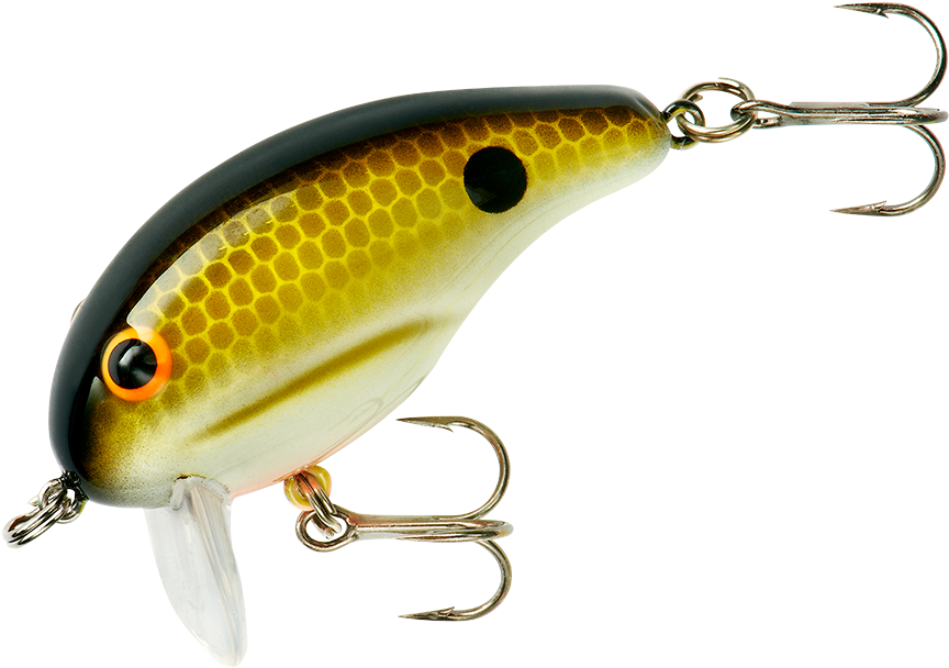 Download Bandit Footloose Full Size PNG Image PNGkit