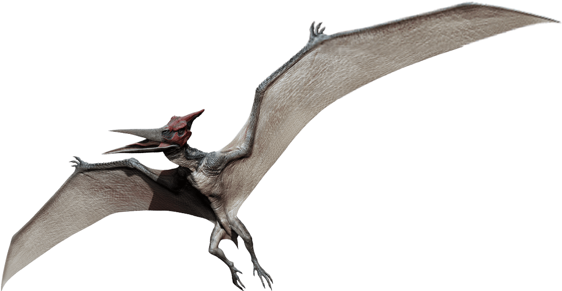 Pteranodon - 5" Jurassic World Party Napkins, Pack Of 16 (1164x672), Png Download