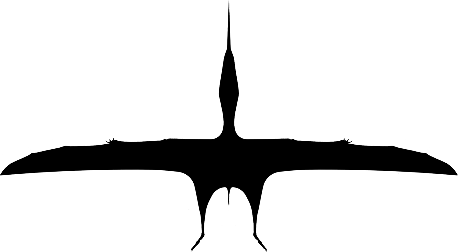 Dtapejara - Airliner (1500x824), Png Download