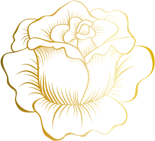 Golden Rose Png Clip Art Image - Rose Drawing (600x549), Png Download