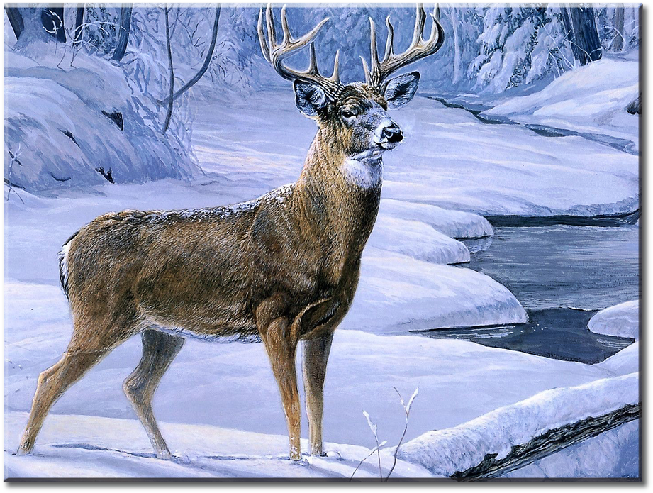 Deer Hunting Canvas Wall Art - Deer In Forest Winter (1000x750), Png Download